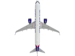 Airbus A321neo Commercial Aircraft 