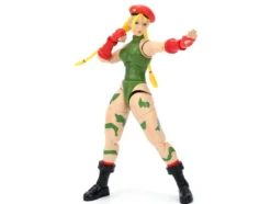 Cammy 6