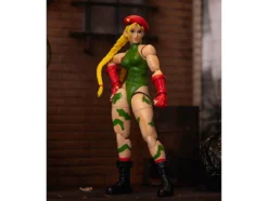 Cammy 6