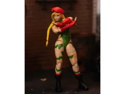 Cammy 6