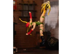 Cammy 6