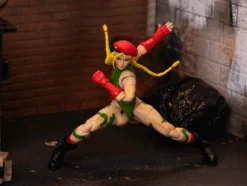 Cammy 6