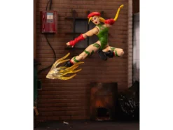 Cammy 6