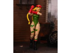 Cammy 6