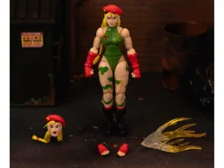 Cammy 6
