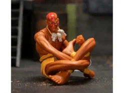 Dhalsim 6