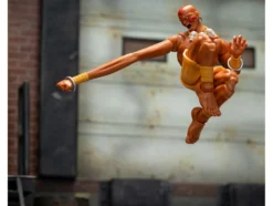 Dhalsim 6