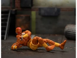 Dhalsim 6