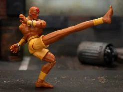 Dhalsim 6