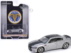 2018 Dodge Charger SRT 392 Silver Metallic with Black Stripe "Mr. Norm Heritage GSS Charger" "Hobby Exclusive" Series 1/64 Diecast Model Car by Greenlight