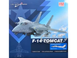 Grumman F-14A Tomcat Fighter Aircraft