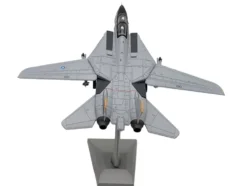 Grumman F-14D Tomcat Aircraft 