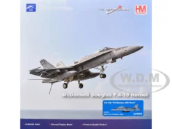 McDonnell Douglas F/A-18D Hornet Aircraft 