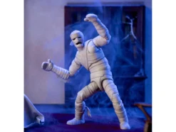 Mummy of Ankha 7