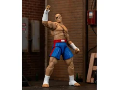 Sagat 7.5" Moveable Figure with Accessories and Alternate Head and Hands "Ultra Street Fighter II: The Final Challengers" (2017) Video Game Model by Jada