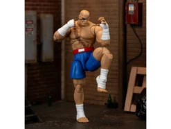 Sagat 7.5