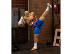 Sagat 7.5