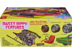 Skill 2 Model Kit 1966 Ford Galaxie 500 Hardtop Sweet Bippy 4 in 1 Kit 1/25 Scale Model AMT AMT1393